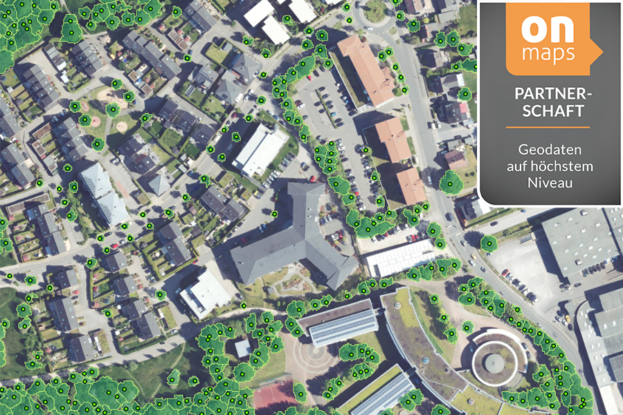 Luftbild mit Baumstandortanalyse und onmaps-Branding „Partnerschaft – Geodaten auf höchstem Niveau“